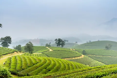 自然 4K壁紙 · nature · 3840×2560