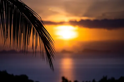 Tropical Sunset 4K Wallpaper · tropical · 3840×2561