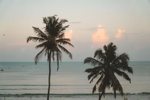 Hình nền Hoàng Hôn Nhiệt Đới 4K · tropical · 3840×2560