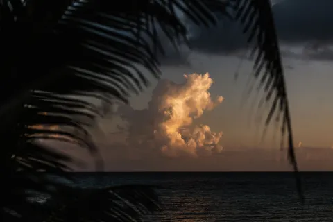 Tropical Sunset 4K Wallpaper · tropical · 3840×2560