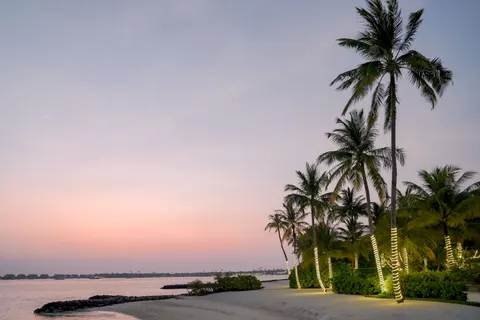 热带日落 4K壁纸 · tropical · 3840×2560