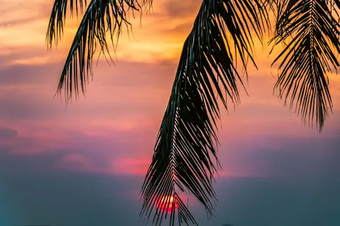 Tropical Sunset 4K Wallpaper · tropical · 3840×2560