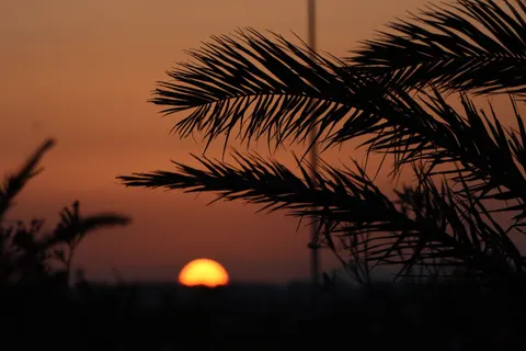 والپیپر غروب استوایی با کیفیت 4K · tropical · 3840×2560