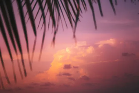 Tapeta Tropikalny Zachód Słońca 4K · tropical · 3840×2561