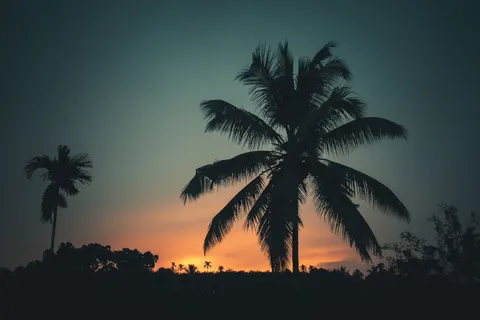 والپیپر غروب استوایی با کیفیت 4K · tropical · 3840×2560