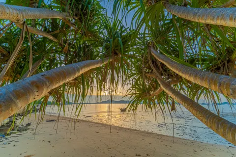 Tropical Sunset 4K Wallpaper · tropical · 3840×2560