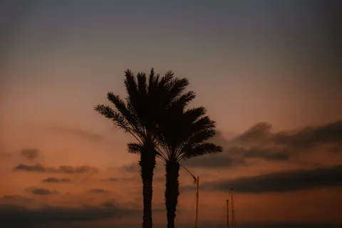 Papel de parede Pôr do Sol Tropical 4K · tropical · 3840×2560