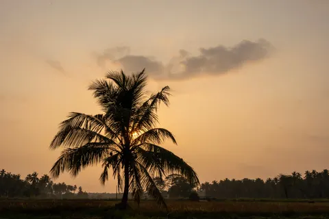 Papel de parede Pôr do Sol Tropical 4K · tropical · 3840×2560