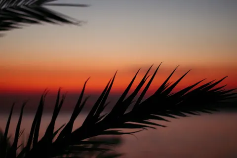 熱帶日落 4K桌布 · tropical · 3840×2560