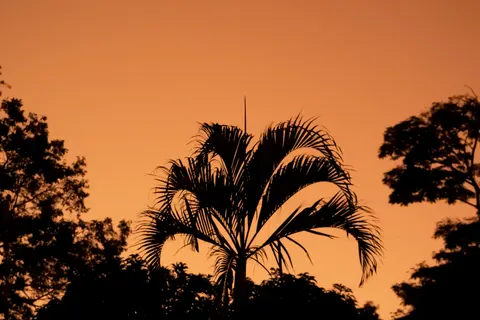 Tropischer Sonnenuntergang 4K Hintergrundbild · tropical · 3840×2560