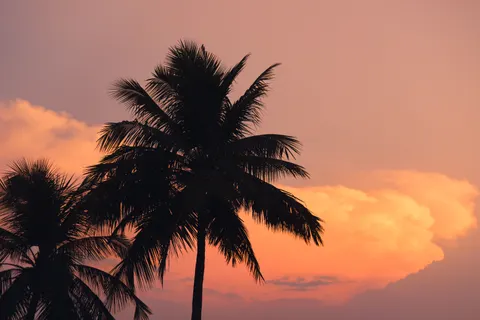 热带日落 4K壁纸 · tropical · 3840×2560