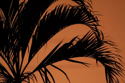 Tropischer Sonnenuntergang 4K Hintergrundbild · tropical · 3840×2560