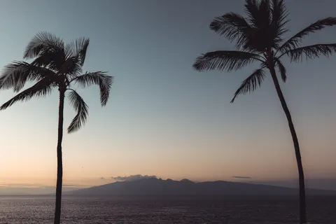 Tropical Sunset 4K Wallpaper · tropical · 3840×2560