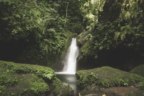 Rainforest Waterfall 4K Wallpaper · nature · 3840×2560