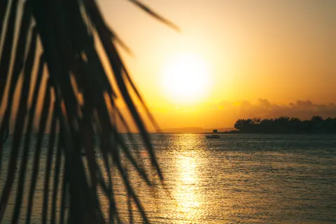 Sfondo Tramonto Tropicale 4K · tropical · 3840×2561