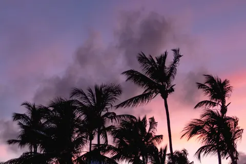 Tropical Sunset 4K Wallpaper · tropical · 3840×2560