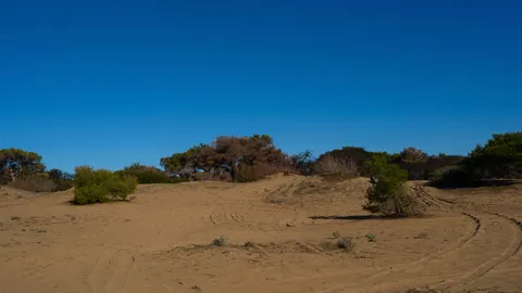 Star Dunes 4K Wallpaper · nature · 3840×2160