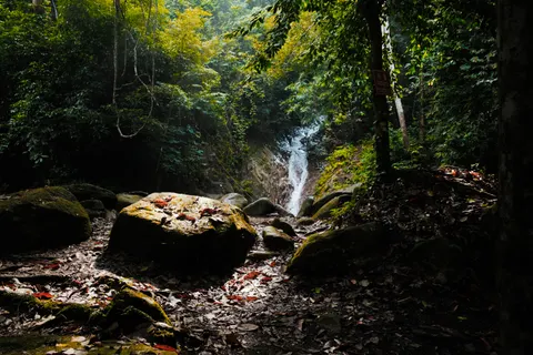 वर्षावन का झरना 4K वॉलपेपर · nature · 3840×2560