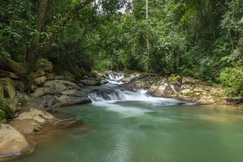 Rainforest Waterfall 4K Wallpaper · nature · 3840×2560