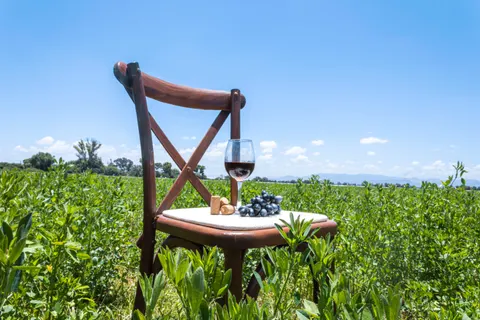Sfondo Vino 4K · food · 3840×2560