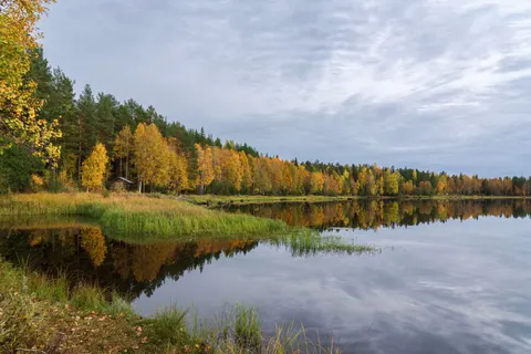自然 4K壁纸 · nature · 3840×2562