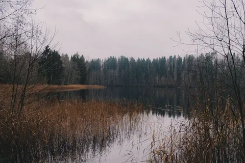والپیپر طبیعت با کیفیت 4K · nature · 3840×2560
