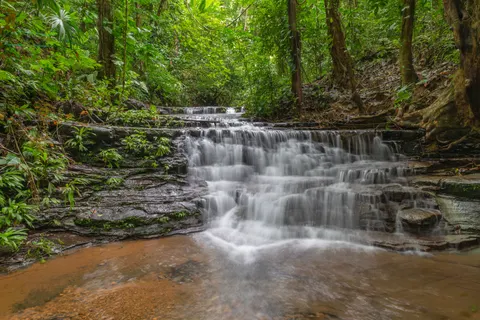 Rainforest Waterfall 4K Wallpaper · nature · 3840×2560