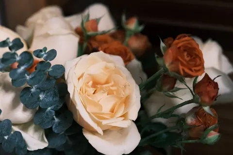 Rose 4K Wallpaper · flowers · 3840×2560