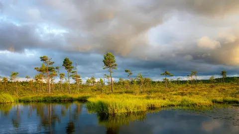 Northern Lake 4K Wallpaper · nature · 3840×2160