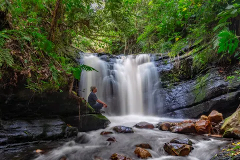 Rainforest Waterfall 4K Wallpaper · nature · 3840×2560