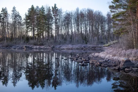 Natuur 4K-achtergrond · nature · 3840×2560
