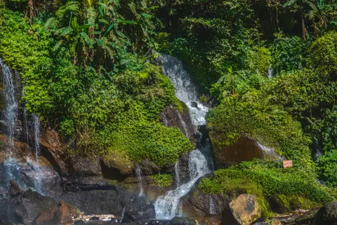 वर्षावन का झरना 4K वॉलपेपर · nature · 3840×2560
