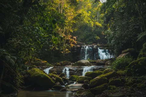 Rainforest Waterfall 4K Wallpaper · nature · 3840×2560