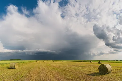 प्रकृति 4K वॉलपेपर · nature · 3840×2560
