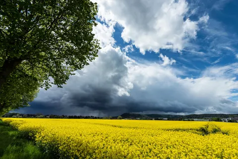 والپیپر طبیعت با کیفیت 4K · nature · 3840×2564