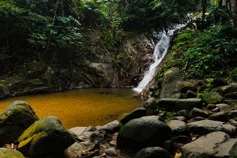 Rainforest Waterfall 4K Wallpaper · nature · 3840×2560