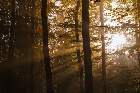 Wallpaper Alam 4K · nature · 3840×2560