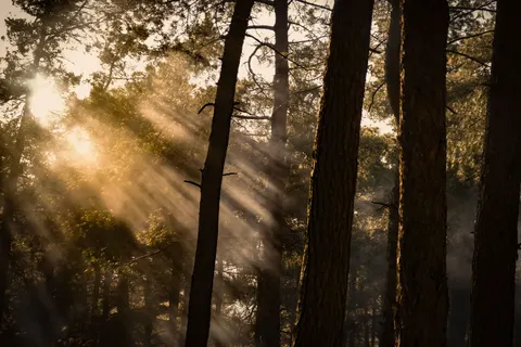 Natur 4K Hintergrundbild · nature · 3840×2560