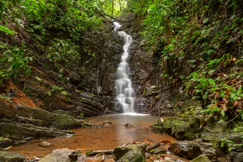वर्षावन का झरना 4K वॉलपेपर · nature · 3840×2560