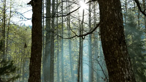 Hình nền Thiên nhiên 4K · nature · 3840×2160