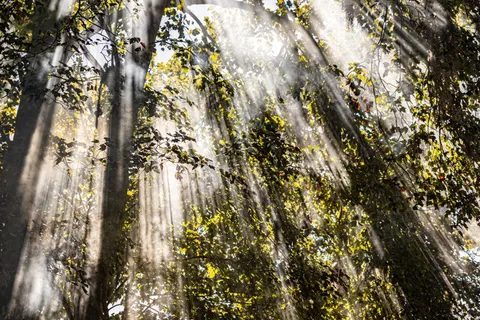 والپیپر طبیعت با کیفیت 4K · nature · 3840×2560