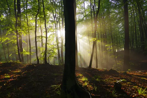 自然 4K壁紙 · nature · 3840×2560