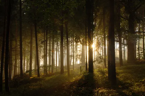Fondo de pantalla Naturaleza 4K · nature · 3840×2561