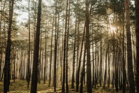 Natur 4K Hintergrundbild · nature · 3840×2560