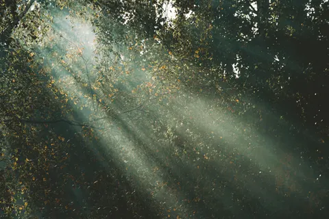 Fondo de pantalla Naturaleza 4K · nature · 3840×2560