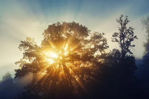 Fondo de pantalla Naturaleza 4K · nature · 3840×2560