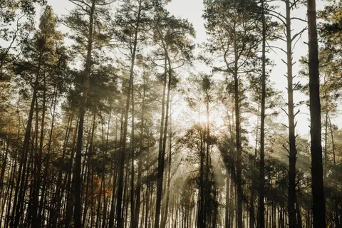 Fond d'écran Nature 4K · nature · 3840×2560