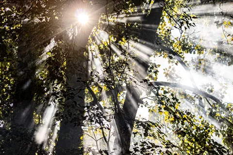 自然 4K壁纸 · nature · 3840×2560