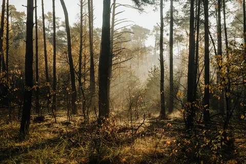 Fondo de pantalla Naturaleza 4K · nature · 3840×2560