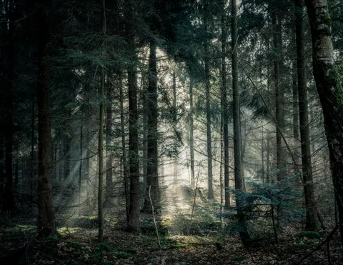 प्रकृति 4K वॉलपेपर · nature · 3840×2972